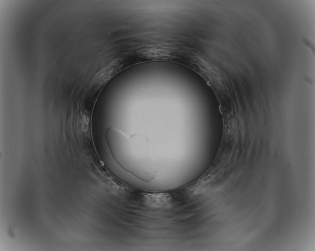 X0000094970281200712131501