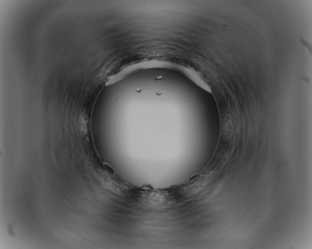 X0000094970282200712131502