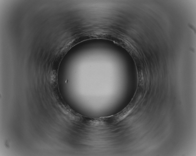 X0000094970284200712131502