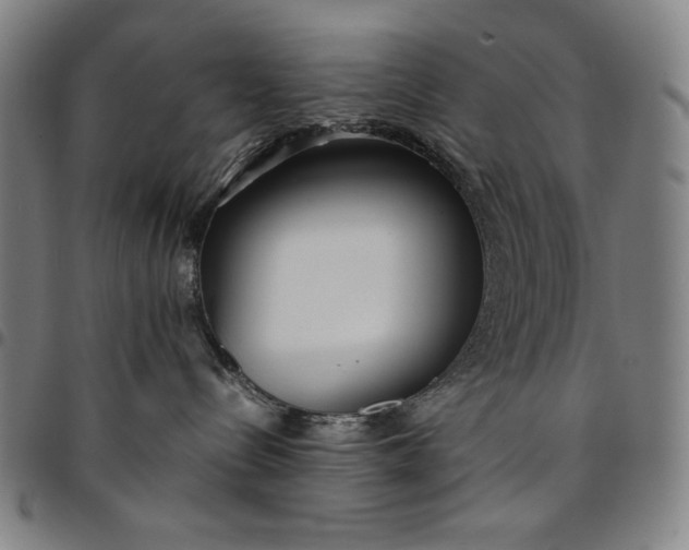 X0000094970288200712131502