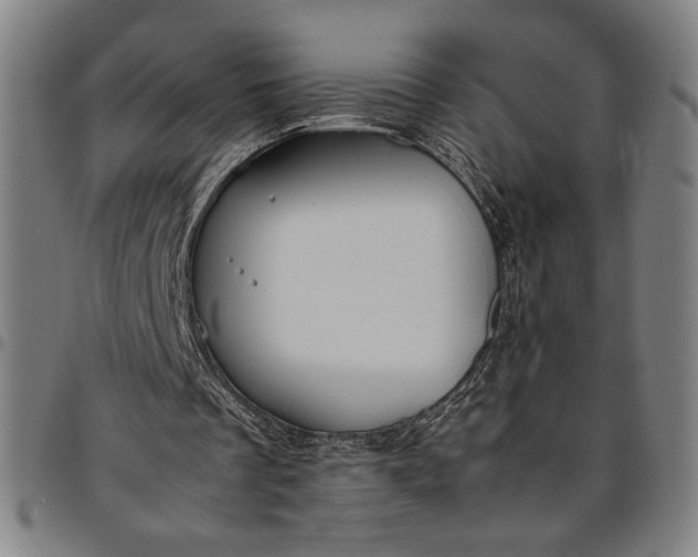 X0000094970289200712131501