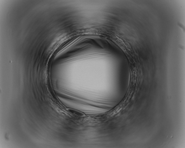 X0000094970290200712131501