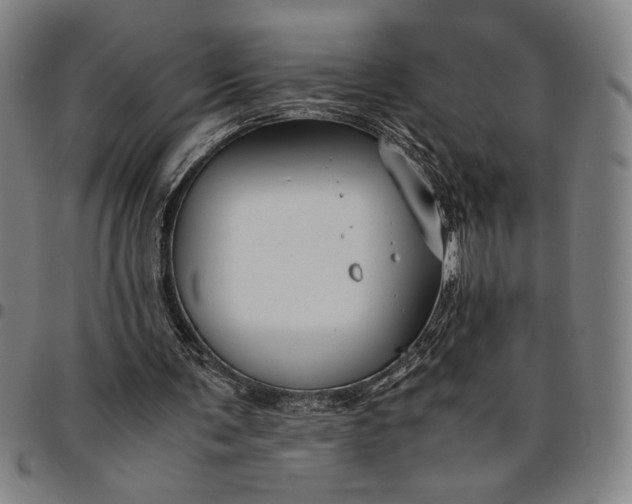 X0000094970291200712131501