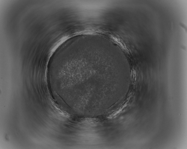 X0000094970292200712131501