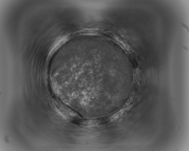 X0000094970293200712131501