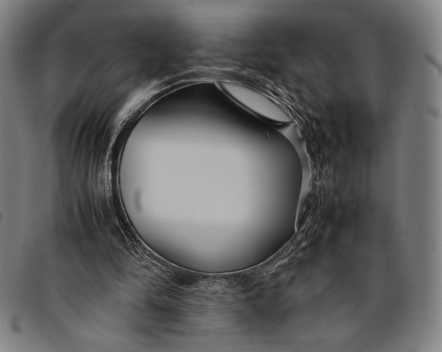 X0000094970294200712131501