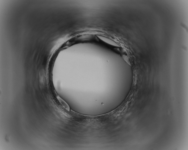 X0000094970296200712131501