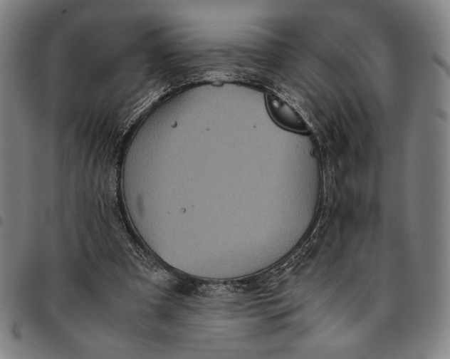 X0000094970297200712131501