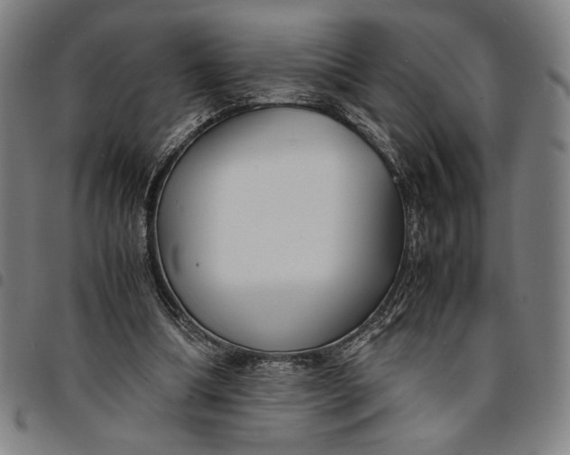 X0000094970298200712131501