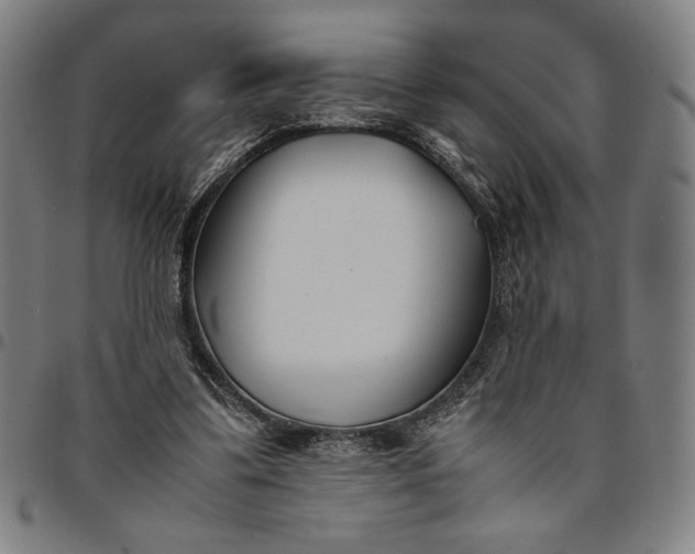 X0000094970299200712131501