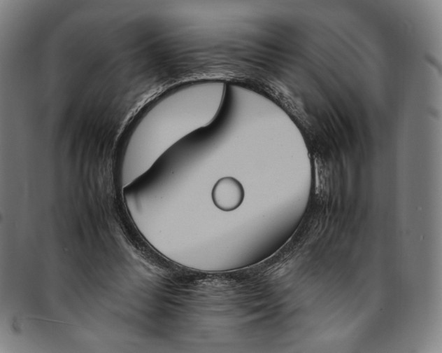 X0000094970300200712131501