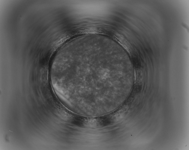 X0000094970301200712131501