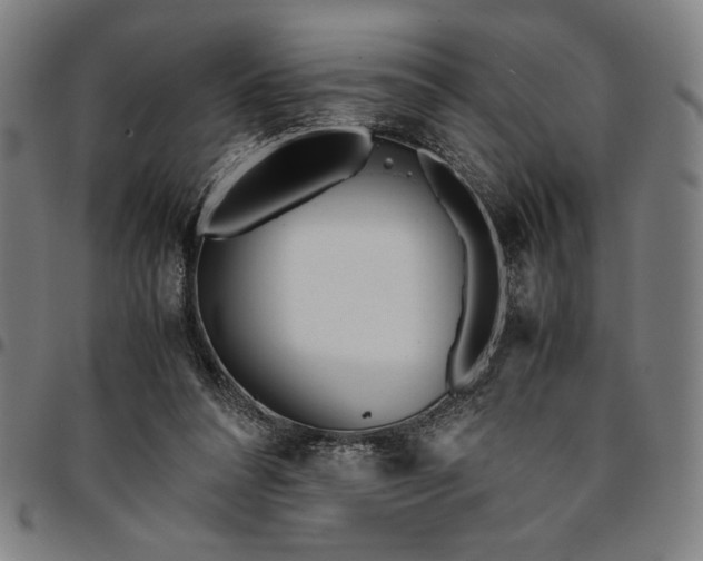 X0000094970304200712131501