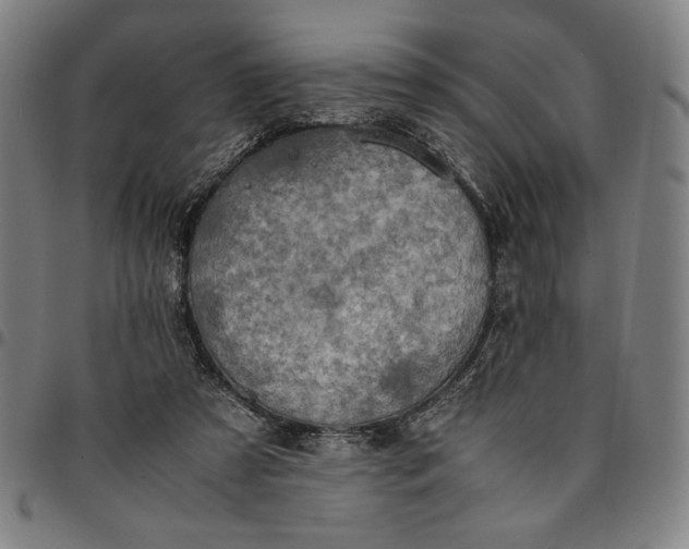 X0000094970305200712131501