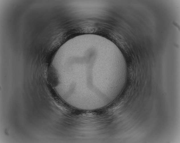 X0000094970307200712131501