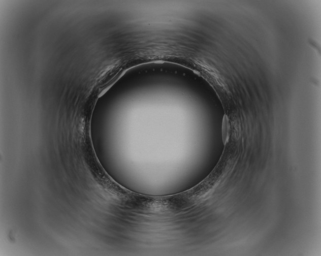 X0000094970308200712131501