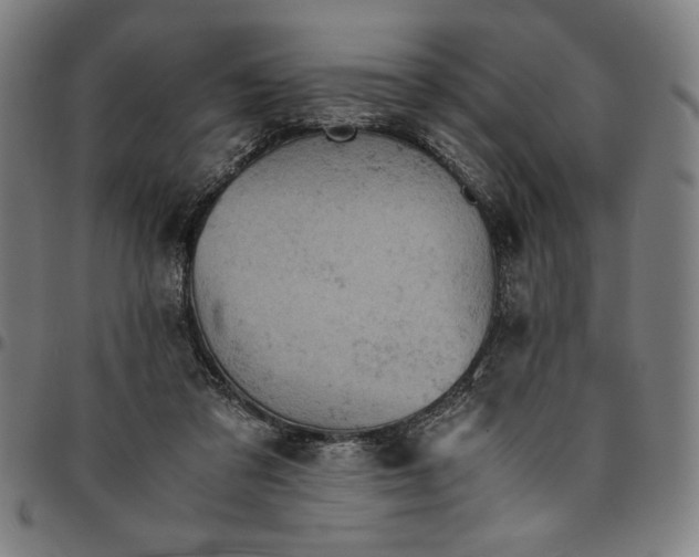 X0000094970309200712131501