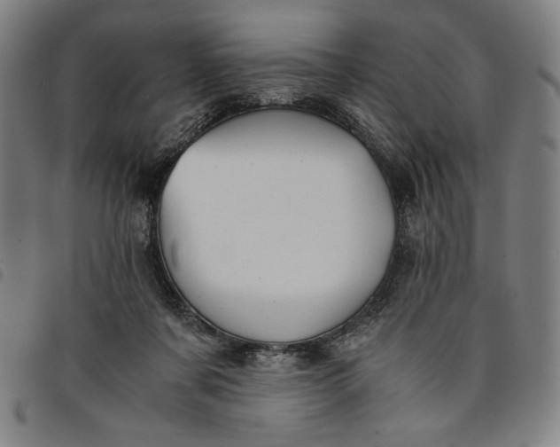 X0000094970311200712131501