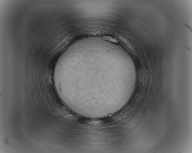 X0000094970313200712131501