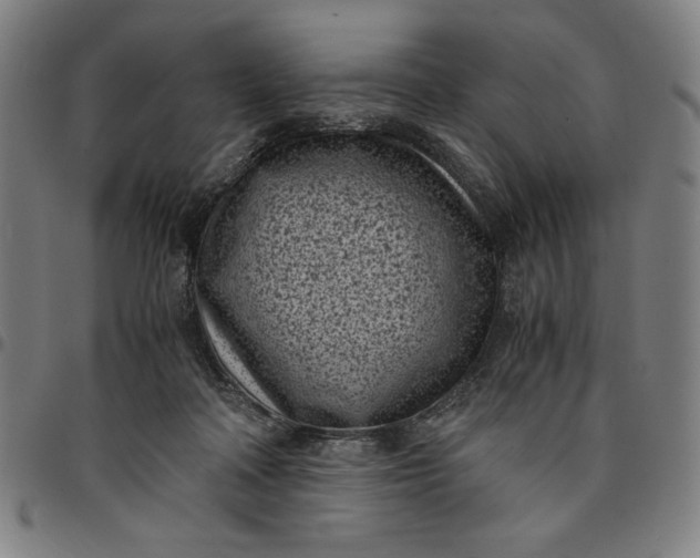 X0000094970314200712131501