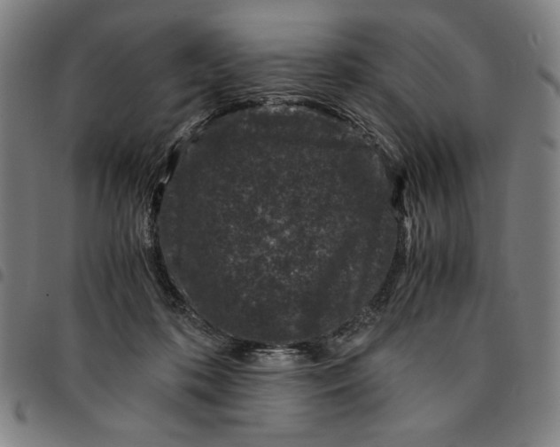 X0000094970316200712131500