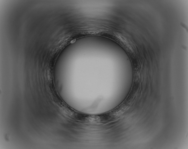 X0000094970317200712131500