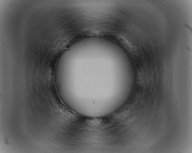 X0000094970318200712131500