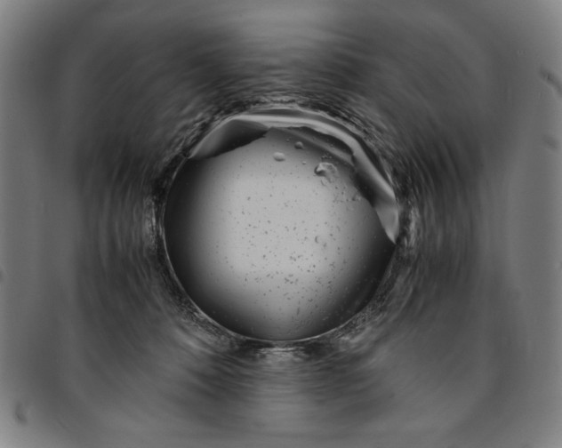 X0000094970320200712131500