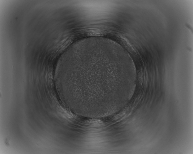 X0000094970322200712131500