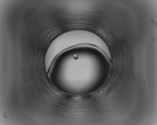 X0000094970325200712131500