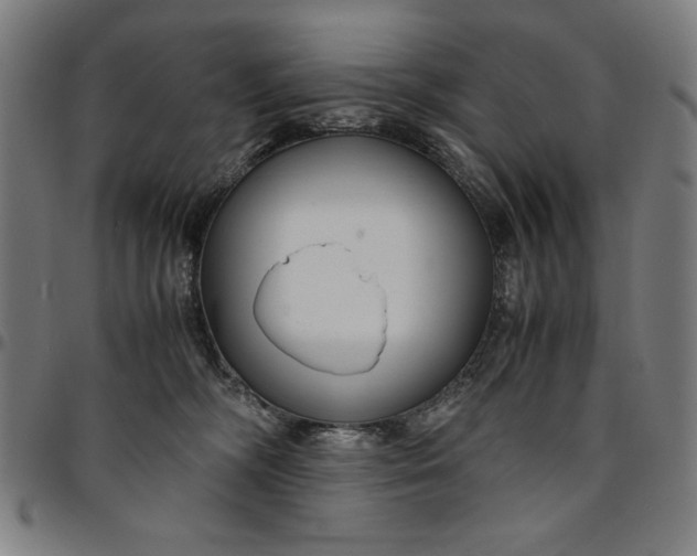 X0000094970326200712131500