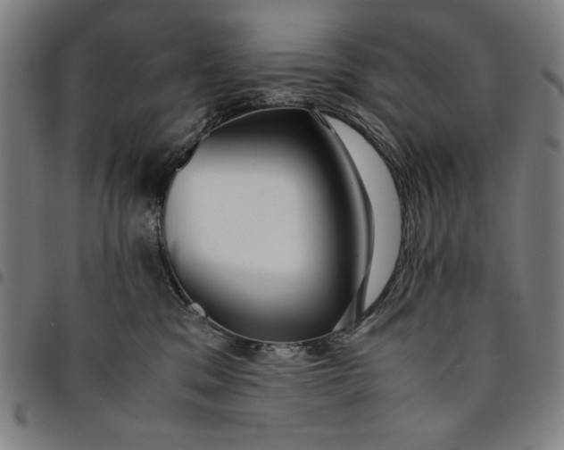 X0000094970329200712131500