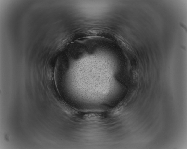 X0000094970331200712131500