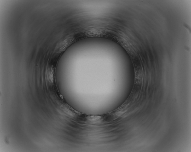 X0000094970334200712131500