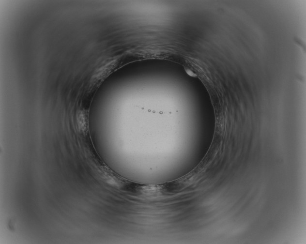 X0000094970335200712131500