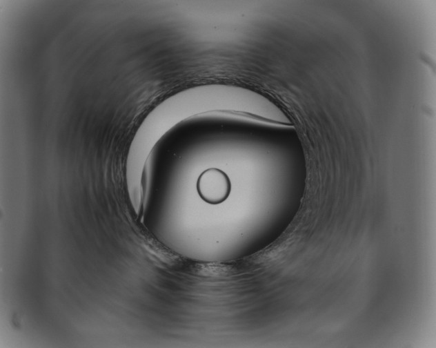 X0000094970336200712131500