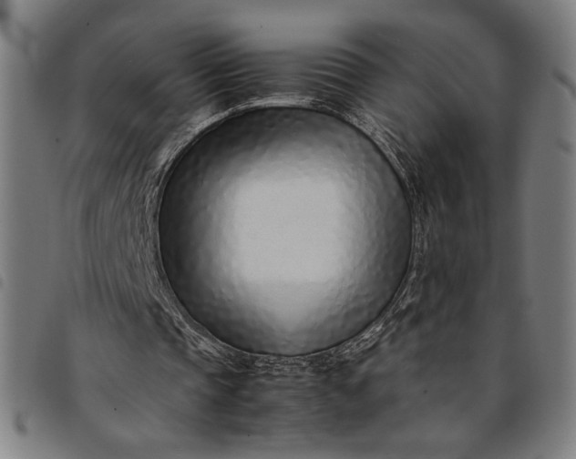 X0000094970337200712131459