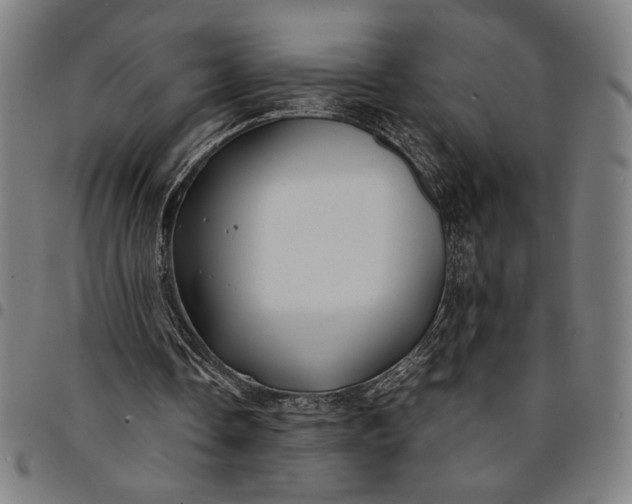 X0000094970338200712131459