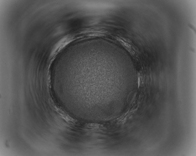 X0000094970339200712131459