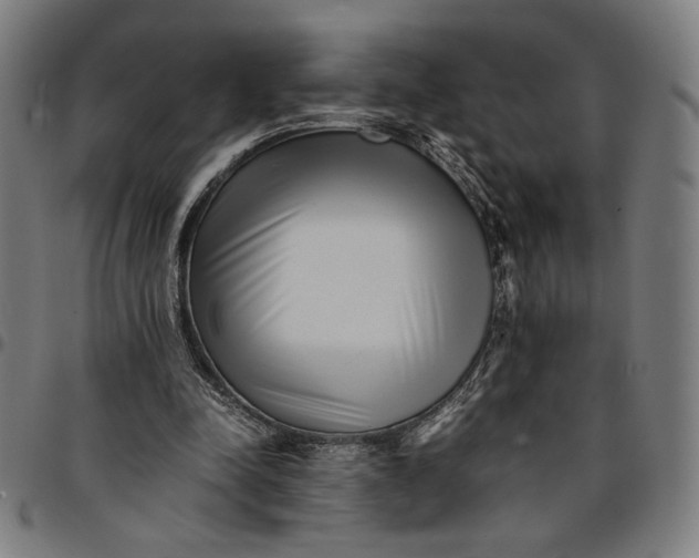 X0000094970342200712131459