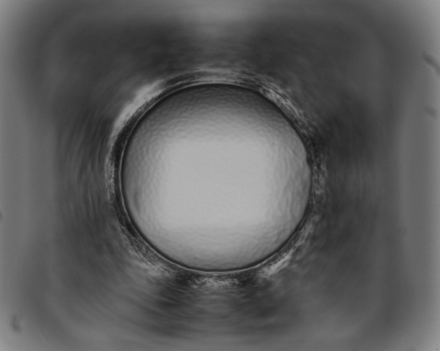 X0000094970343200712131459