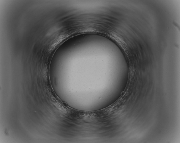 X0000094970345200712131459