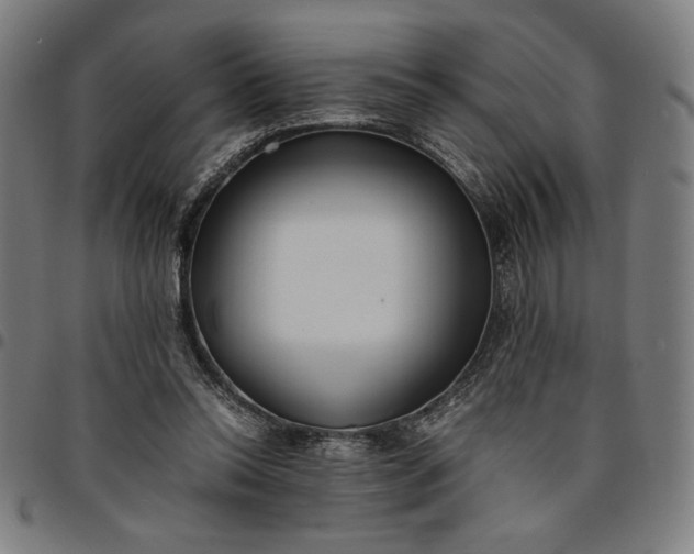 X0000094970350200712131459