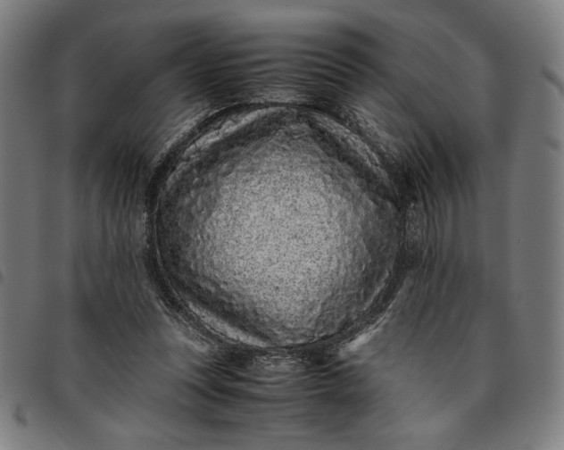 X0000094970351200712131459