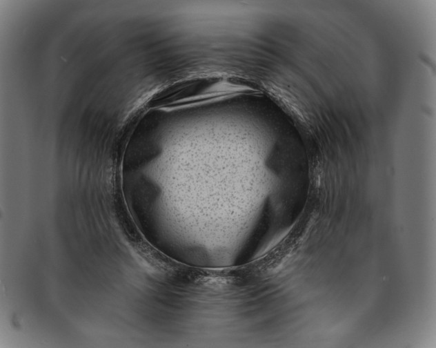 X0000094970352200712131459