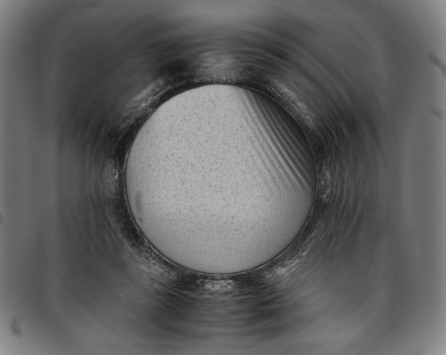 X0000094970355200712131500