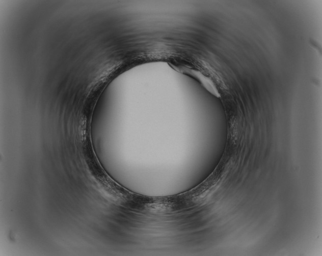 X0000094970356200712131500