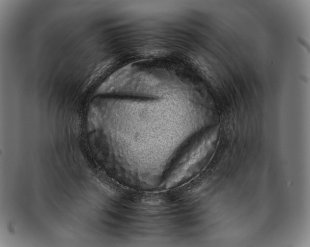 X0000094970357200712131500