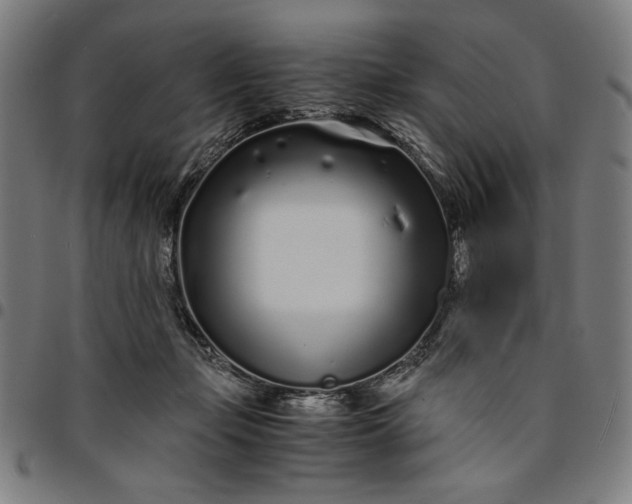 X0000094970365200712131500