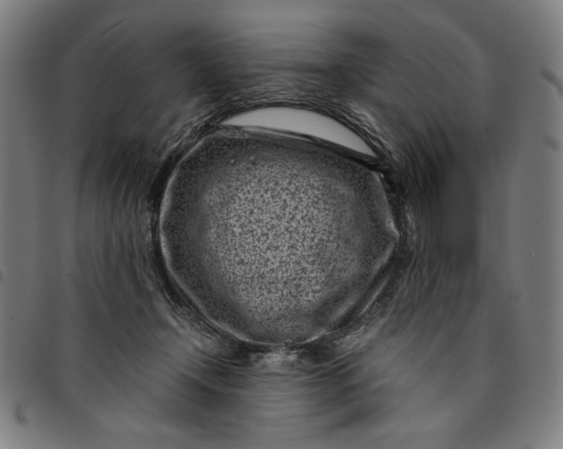 X0000094970366200712131500